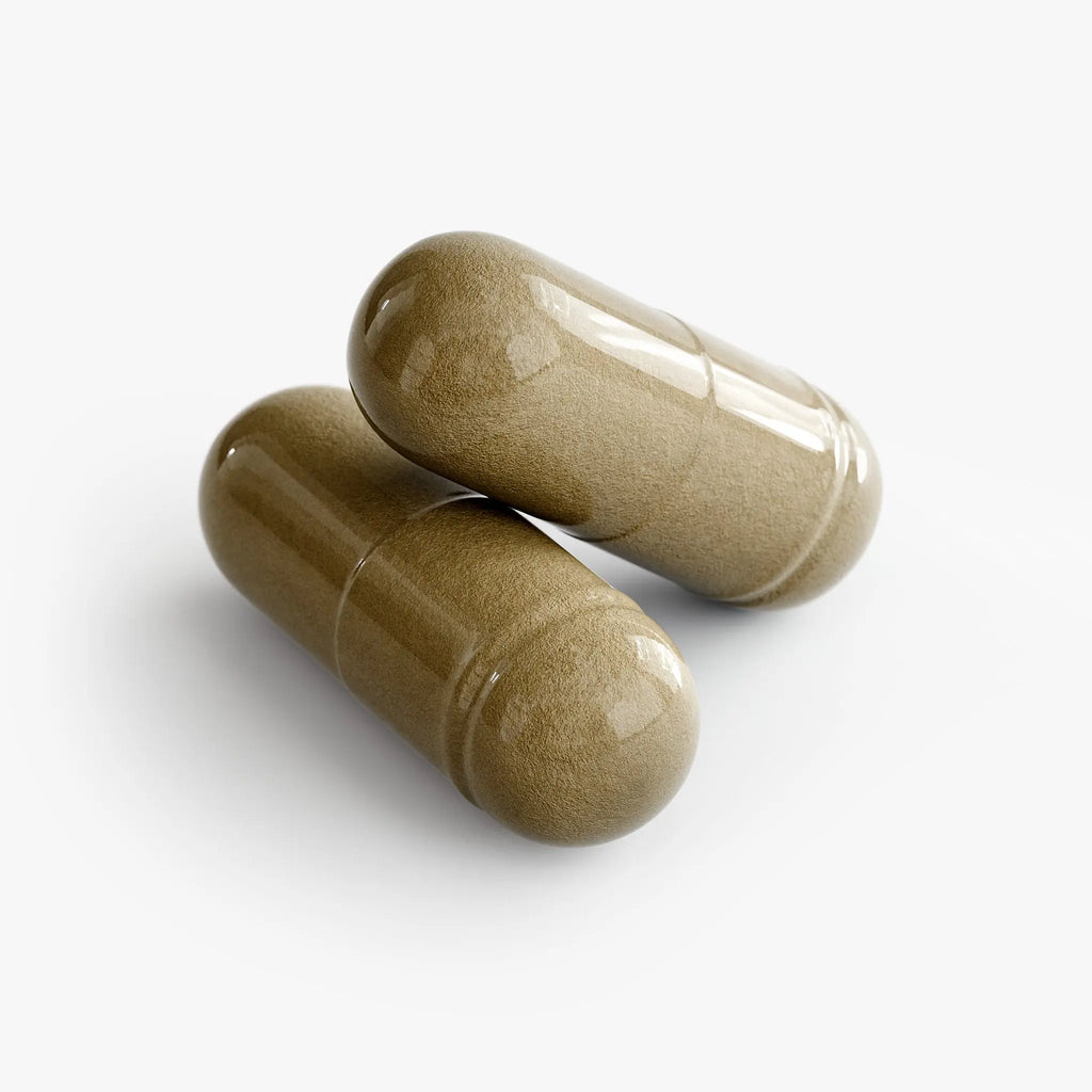 Ginkgo Biloba + Ginseng Bpower Fitness