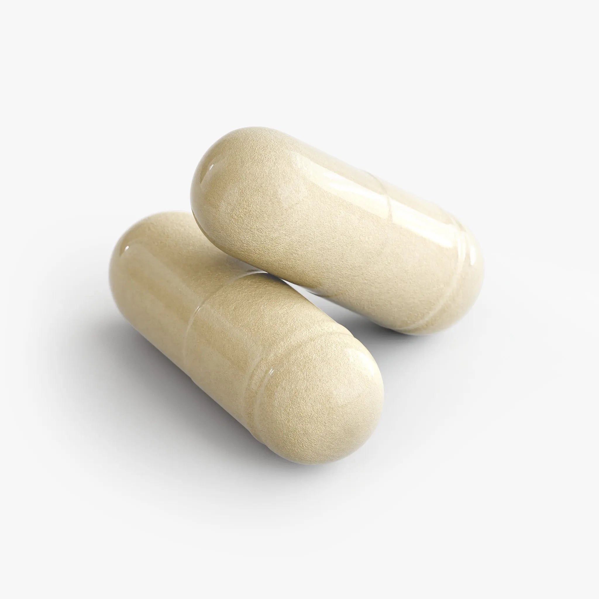 Gut Health Supplement - Probiotic & Digestive Support Capsules | Bpower Fitness Bpower Fitness